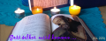 Banner 4ther Advent.png